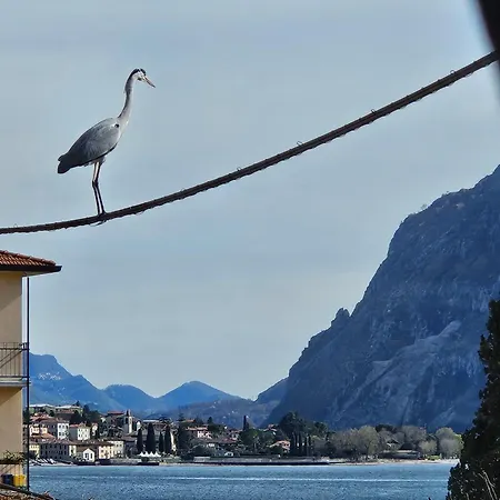 Apartament L'airone - Casa