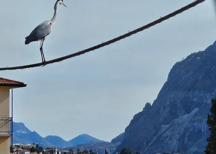 Apartment L'airone - Casa