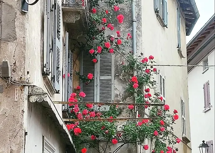 Apartment L'airone - Casa *