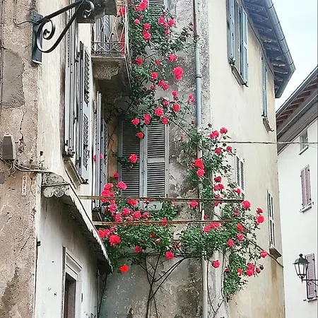 Apartment L'airone - Casa *